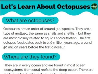 Octopus Worksheet