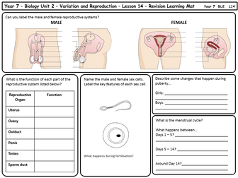 KS3 - Reproduction and Variation - Revision Mat - Maps to New Spec AQA GCSE Spec / Activate 1