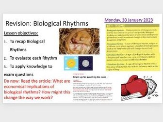 Biological Rhythms Revision Lesson