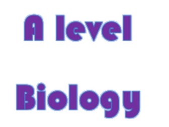 AQA Biology A level Year 2 Units 5-8 Revision Bundle