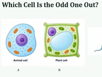 Eukaryotes & Prokaryotes | Oxford AQA iGCSE