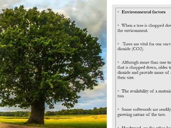 Environmental Impact of Timbers