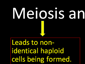 CIE iGCSE Inheritance, Variation & Evolution Revision Lesson