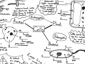 Cells revision poster