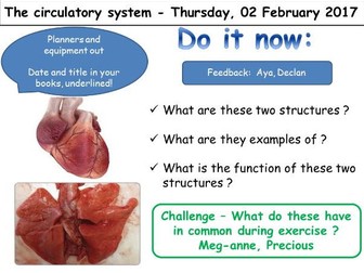 The heart and the circulatory system KS3