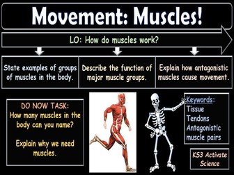 Movement Muscles KS3 Activate Science