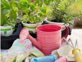 Sensory Plants: A Gardening Guide for Schools