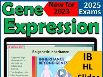IB Biology D2.2 Gene Expression (HL only) - IB Diploma First Exams 2025