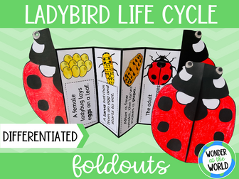 Ladybird life cycle science foldout (ladybug)