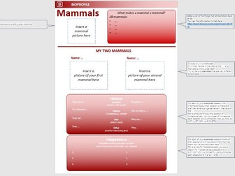 Mammals classification and adaptations research lesson