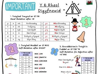 Y 6 Rheol Digyfnewid