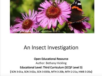 An Insect Investigation
