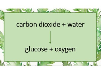 Photosynthesis TWO LESSONS