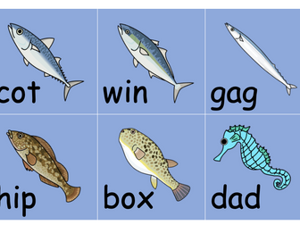 Fishing for CVC Words, 146 fish, Literature, Word family activity