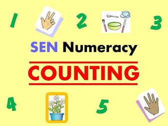 SEN Numeracy - COUNTING