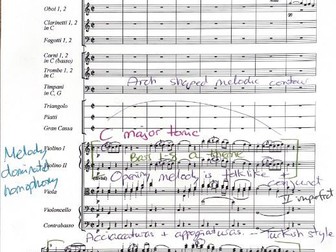 Haydn’s Symphony 100 “Military” Annotated Score Movement 2