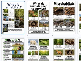 Year 4/3 Science Habitats Display Pack | Inclusive Science Vocabulary Cards with Realistic Images