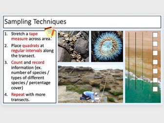 Adaptations, Levels of Organisation and Sampling Techniques (3 lessons)