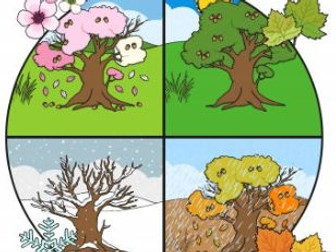 Seasons SEND series of work