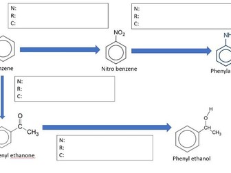 Mechanism practice Y13