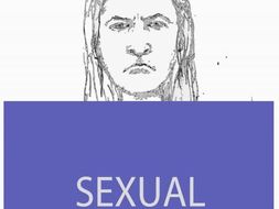Sexual Harassment Hot Seating Lesson (US sex education)
