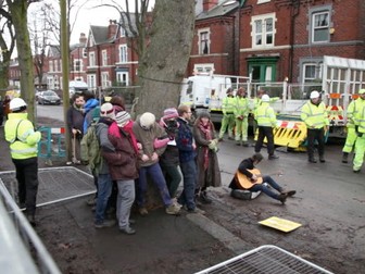 NVAFC Case Study: Sheffield  Street Trees (UK)