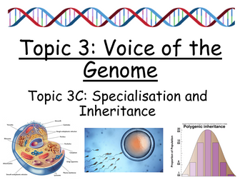 Edexcel SNAB Biology - Topic 3: Voice of the Genome - Topic 3C: Specialisation and Inheritance