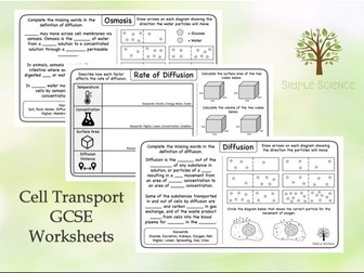 AQA GCSE Biology Paper 1 Worksheets | Teaching Resources