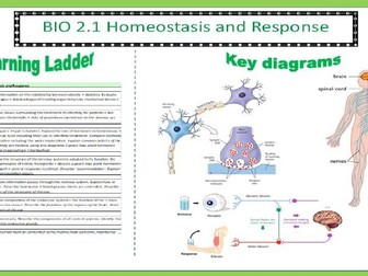 AQA Trilogy Biology Homeostasis and Response Topic mat
