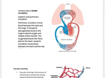 1.2 Cardiorespiratory and cardiovascular systems (A level PE for Edexcel)