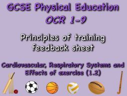 GCSE OCR PE (1.2) Physical Training - Principles of training feedback sheet