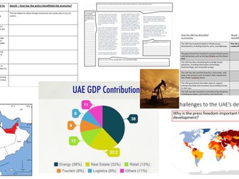The UAE's development and changing economy