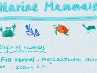 Marine Mammals Intro