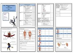 Aqa gcse pe paper 1 2020 Aqa gcse pe paper 1 2020 image