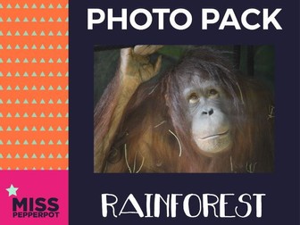 Rainforest Photo Resource Pack