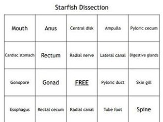 "Starfish Dissection" Bingo Game