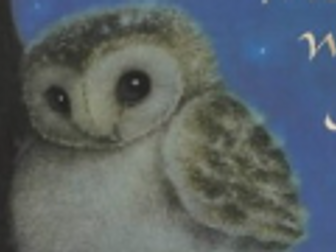 Key Stage 1 reading comprehension - The owl who was afraid of the dark