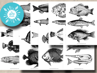 Fish Images - Black & White - Great for Drawing Skills