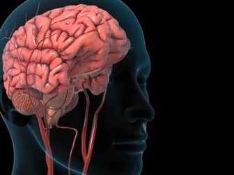 AQA Homeostasis - BUNDLE