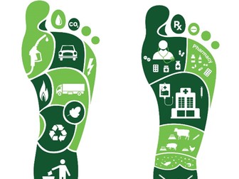 Ecological Footprints Activity