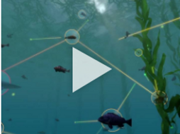 Exploring Ecosystems: Coastal Food Web