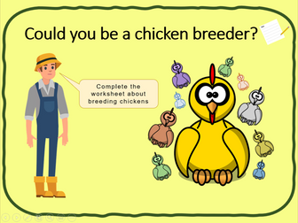 Selective breeding - KS3 Low Ability