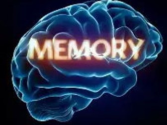 AQA GCSE Psychology Memory, all topics