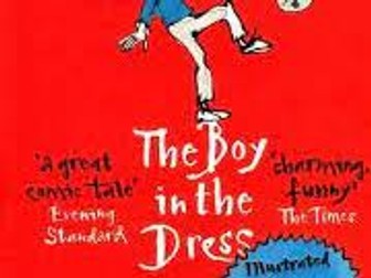 The Boy in the dress- English workbook KS3 KS2