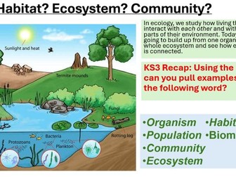 B7 Ecology - L1 Communities and Food Chains