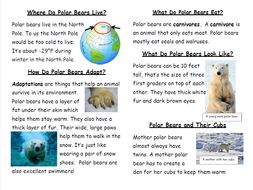Mini Polar Bear Book with Fact and Opinion Activity