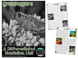Differentiated Nonfiction Unit: Grasshoppers