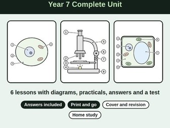 Bundle KS3 Biology Cells Unit: Year 7 Worksheets