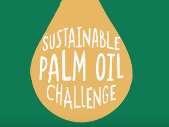Learn at Chester Zoo - Palm Oil Perspectives - Plantations