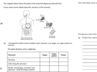 IGCSE A3 Exam Sheet Collection (18 sets)